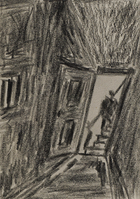 Fields and power lines